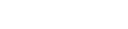 THE PROCESS